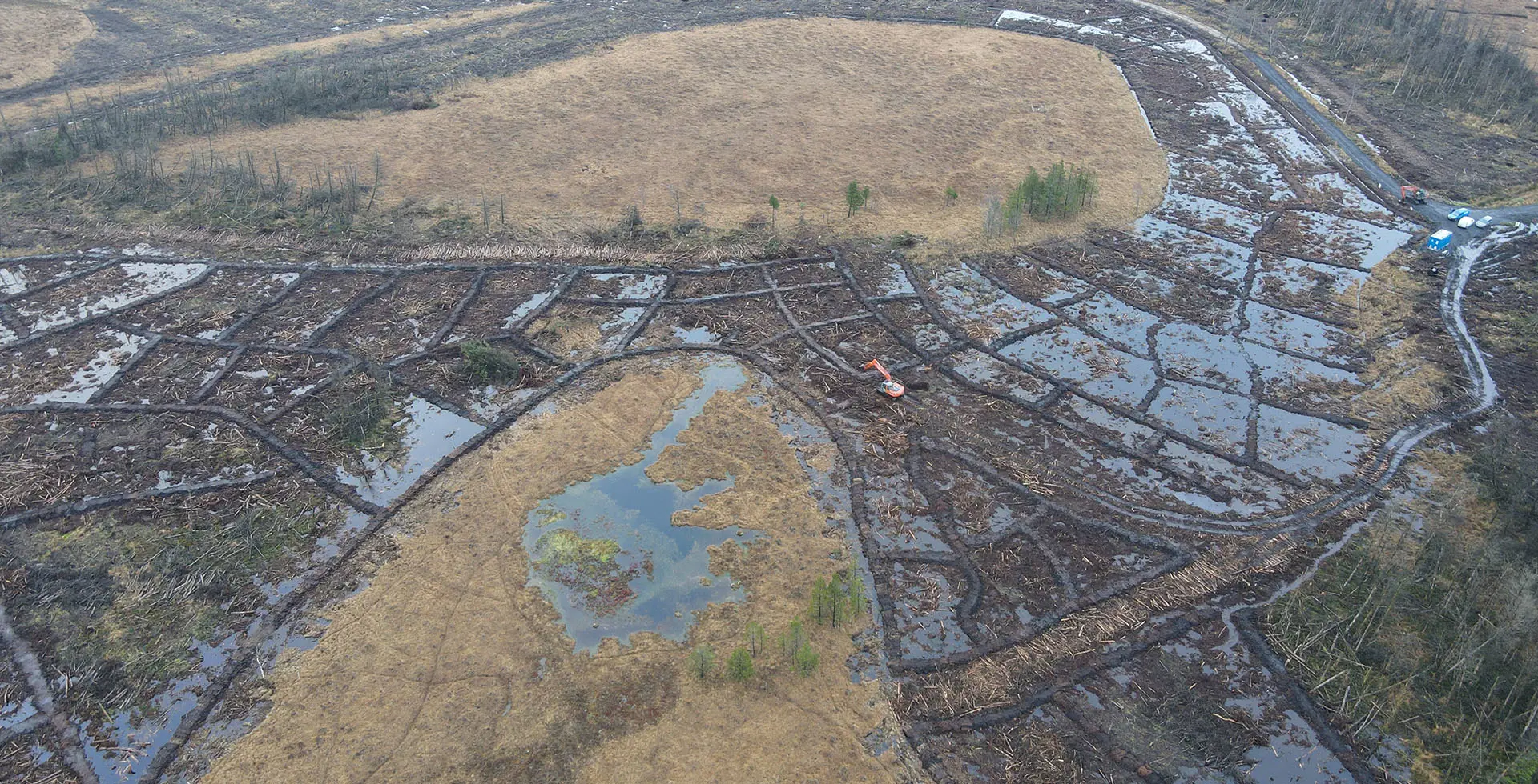 peatland restoration