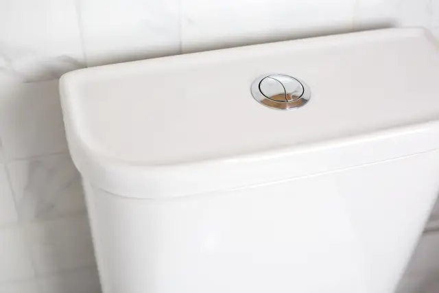 Pic Dual Flush Toilet