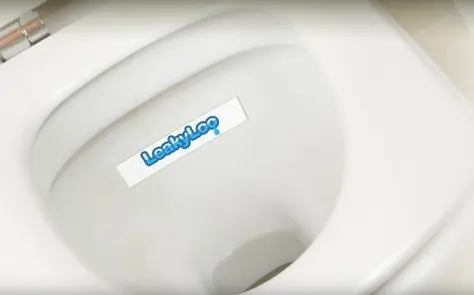 Leaky Loo (2)