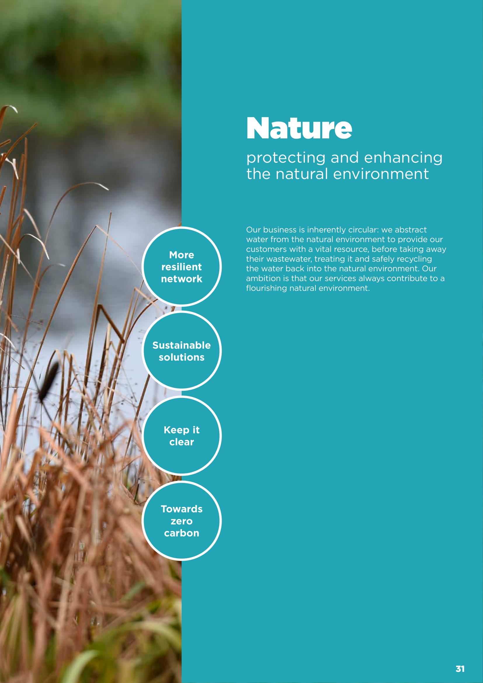 Nature document cover