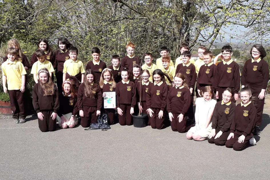 St Patricks Ps Mayobridge Class Tree Winners