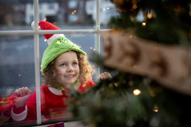 Pic2 Christmas Bogus Callers22