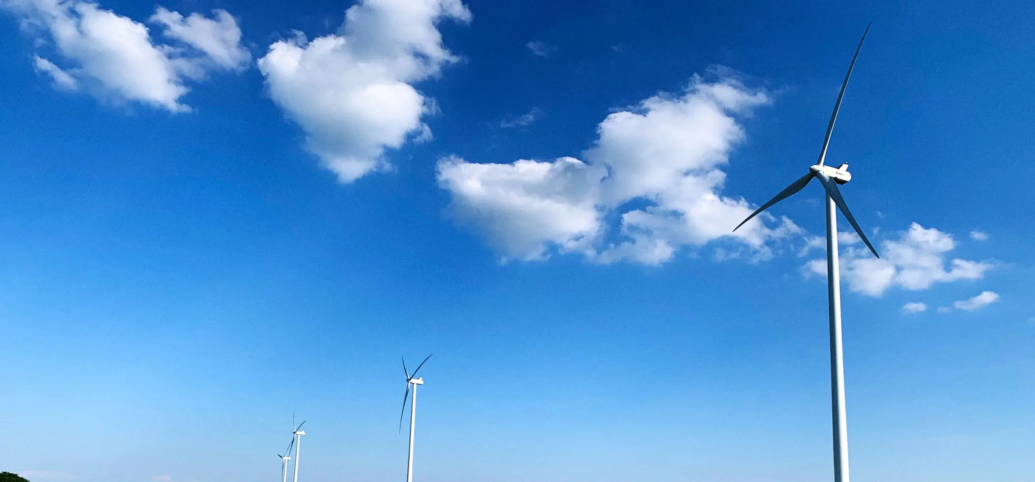Background Windmills X2