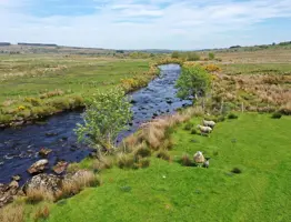 River Derg Web