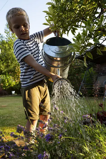 Useawateringcannotahose