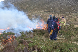 Mournes Mountains Wildfire Project