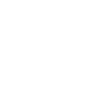 Step Icon Assessment