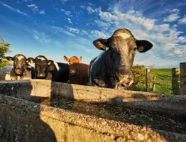 Pic Farming Life July 2026