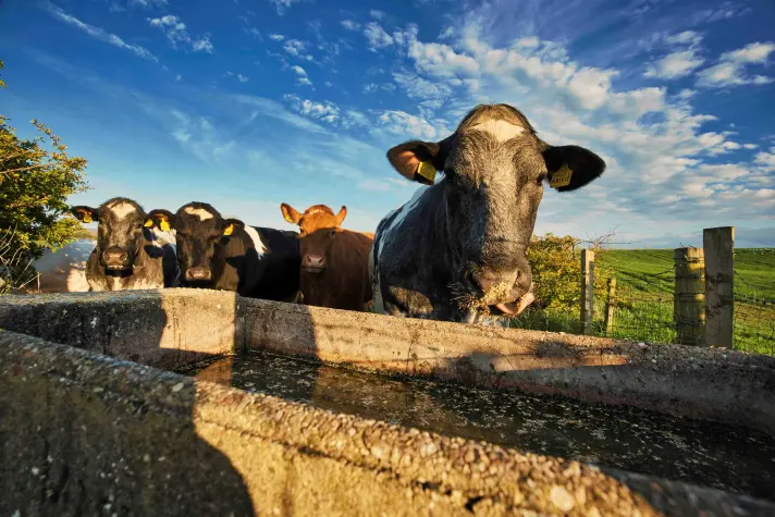 Pic Farming Life July 2026