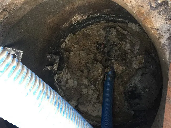 Newry Fatberg Thumb