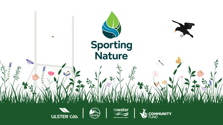Pic Sporting Nature