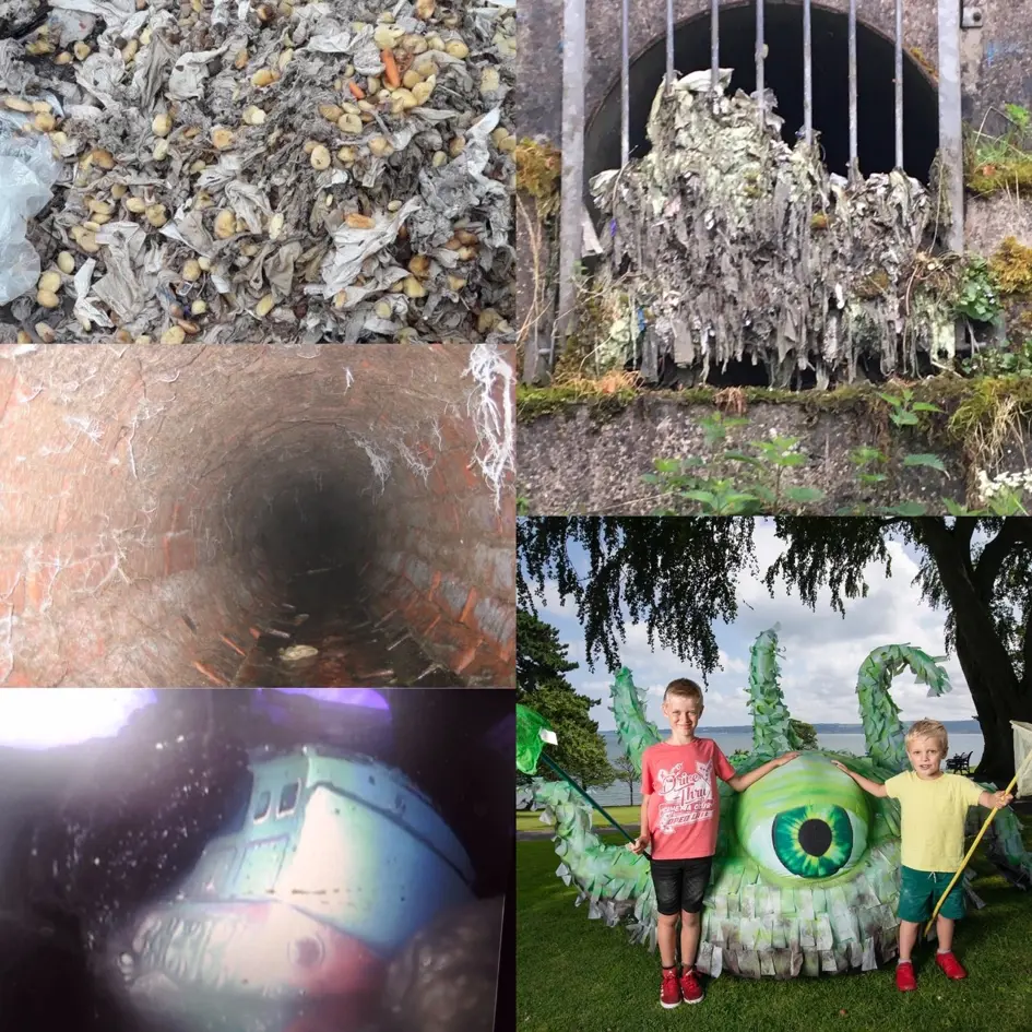 Collage2