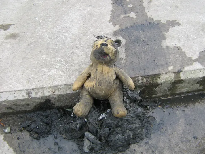 Pooh Bear Pic ( )
