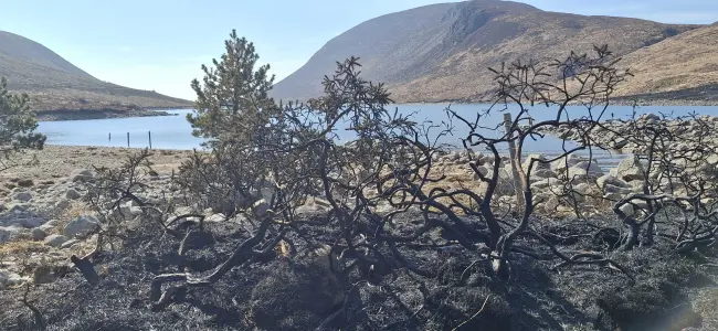 Burned Gorse Looking South Towards Silent Valley Resized