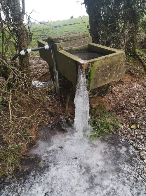 Frozendrinkingtrough Fermanagh(Resized)