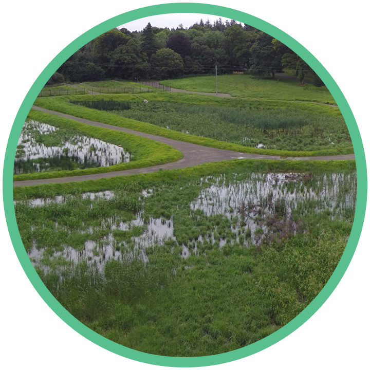 Wetlands Castle Archdale