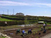 Sv Nursery Pic 3Sm