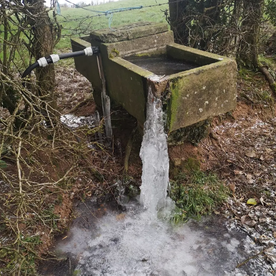 Frozen Drinking Trough