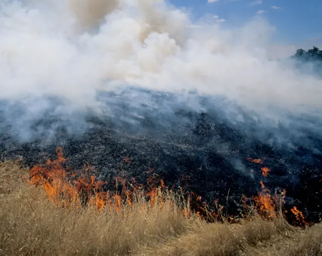 Wildfire2