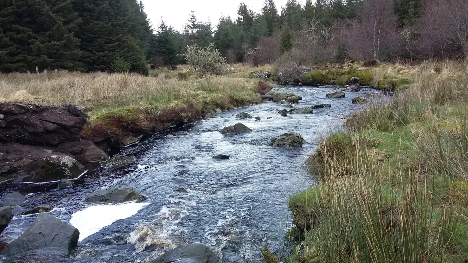 N I Waterriver