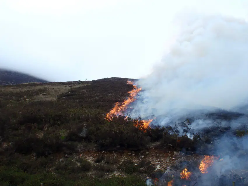 Mourneswildfire