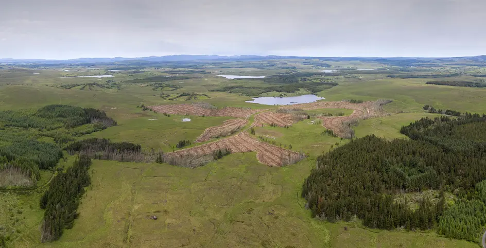 Background Peatland Restoration 4 X2
