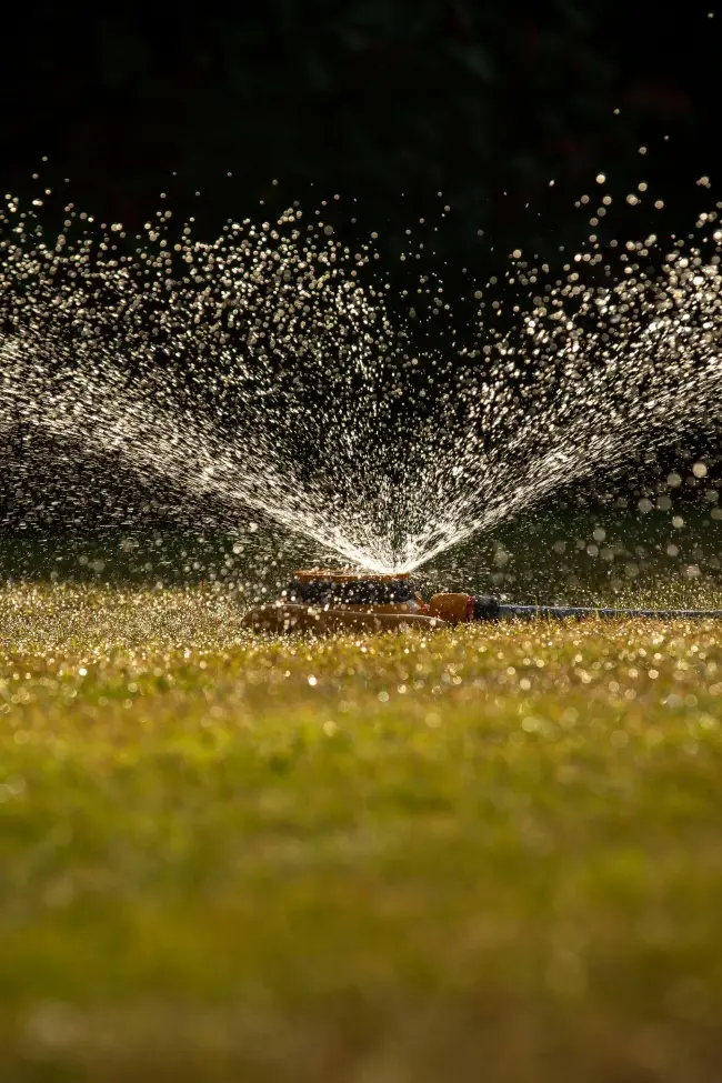 Garden Sprinkler