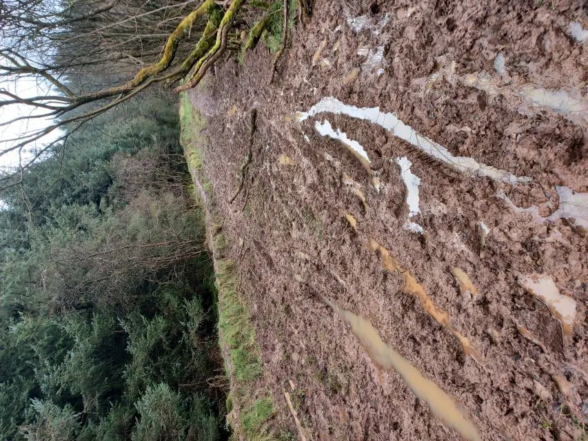 Damagedwalkway Woodburn Upper
