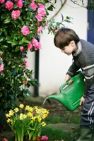 Watering Can