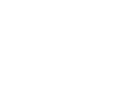 Step Icon Engineering