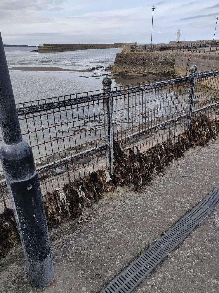 Sewerage D Dee2 July2020