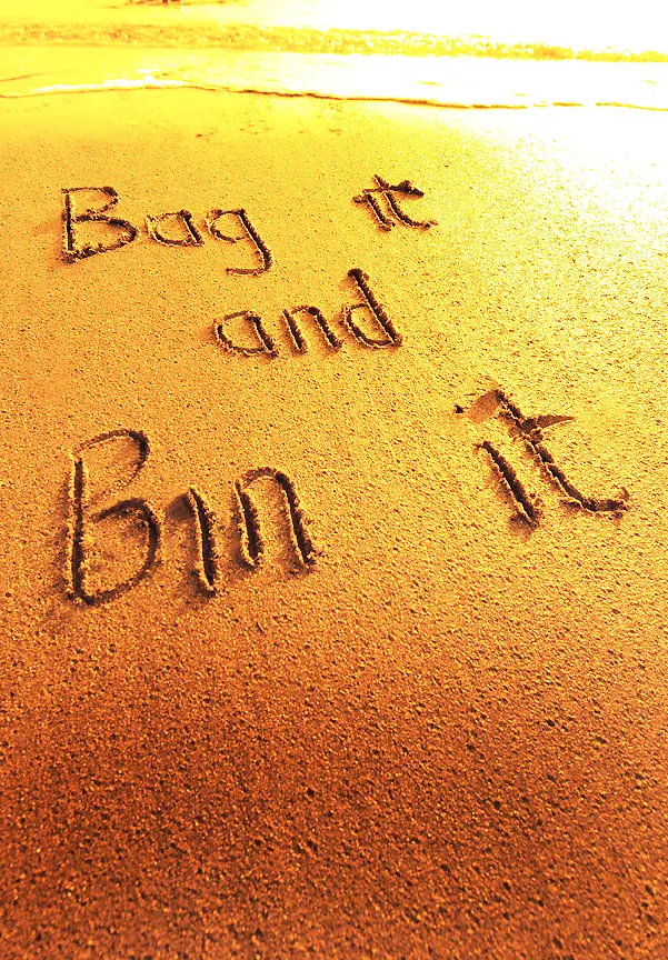 Beach Bags Thumb