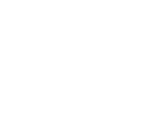 Step Icon Digger