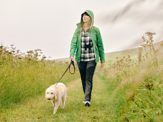 Dog Walking Safety2