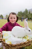 Silent Valley Family Fun Day