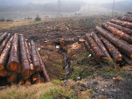 Improving Forestry Activities