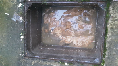 Ragsinsewer Creggan Heights
