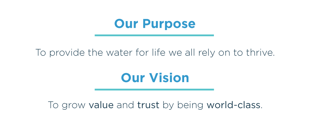 Our Purpose and Our Vision