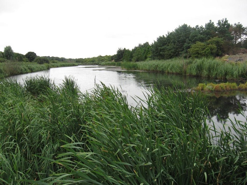 Kinnegar Lagoon