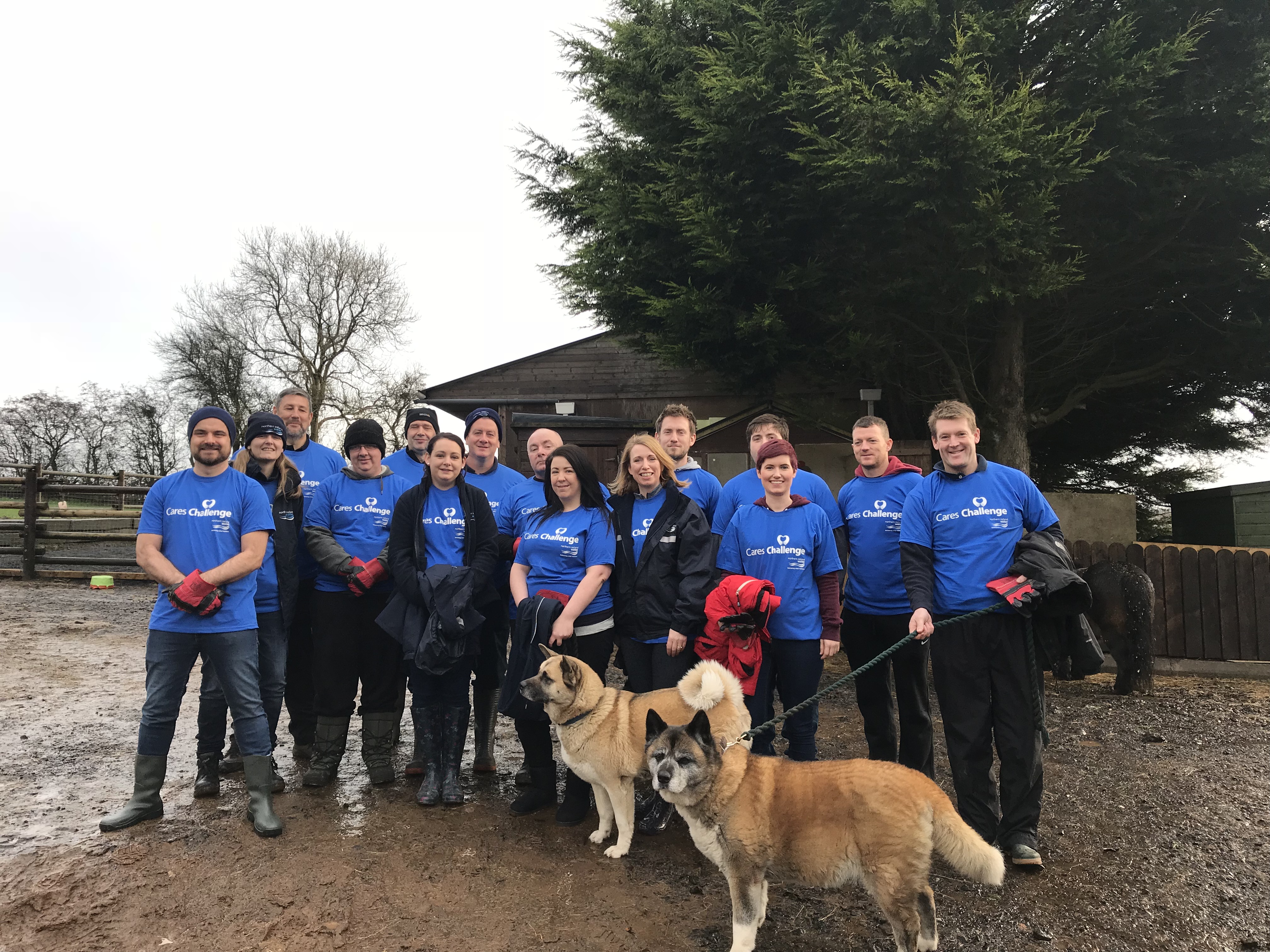 Helping Hands at Crosskennan Animal Sanctuary  | NI Water News