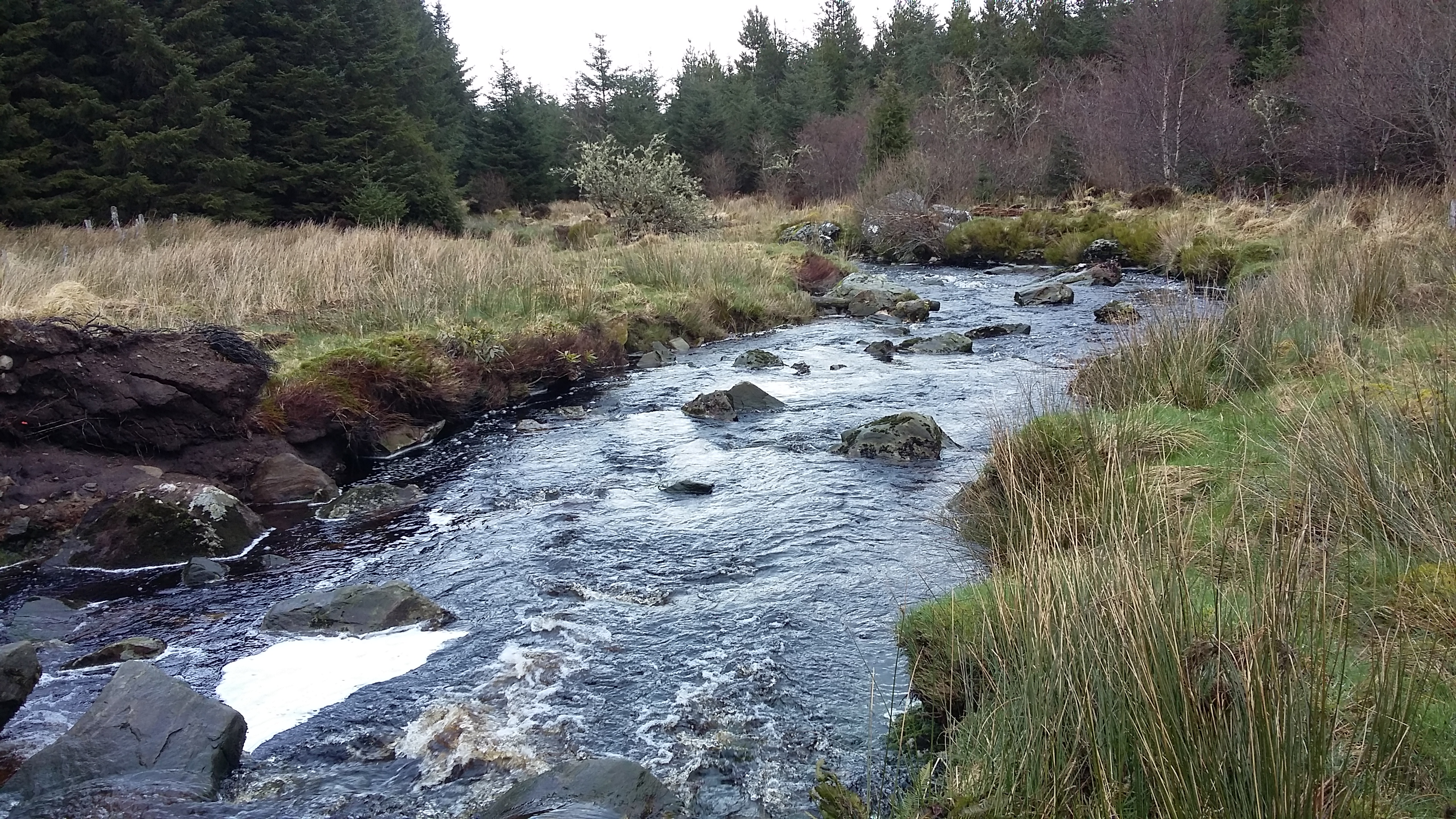 | NI Water News