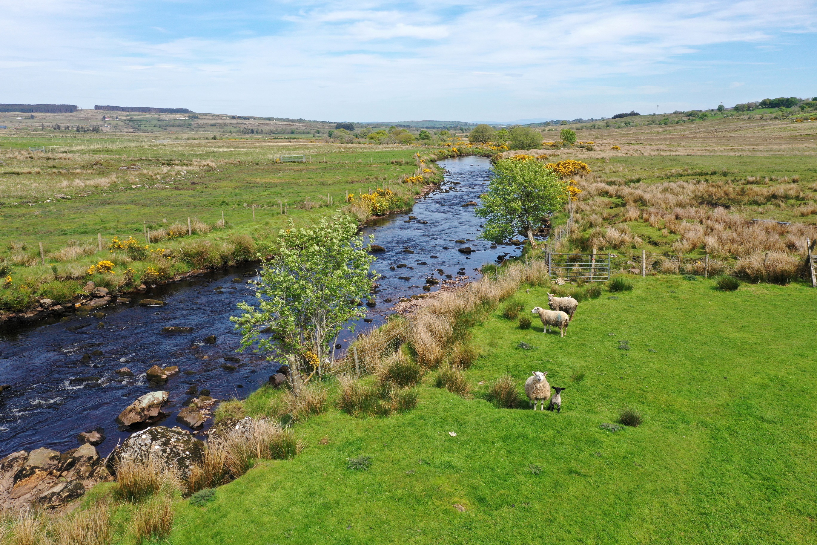 | NI Water News
