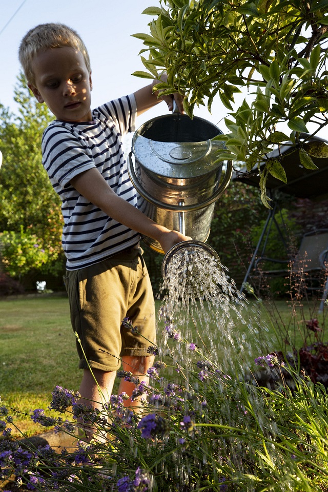 | NI Water News