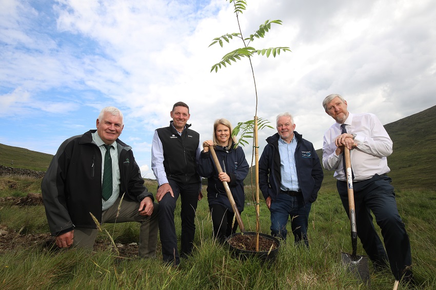 planting of over 23 thousand trees near Fofanny Water Treatment Works | NI Water News