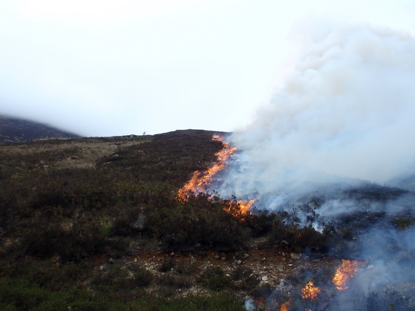 Wildfire warning follows Mournes devastation | NI Water News