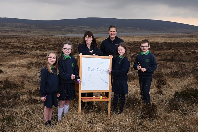 NI Water’s annual primary school poster competition is now open for entries with a focus on the fascinating world of peat bogs. | NI Water News