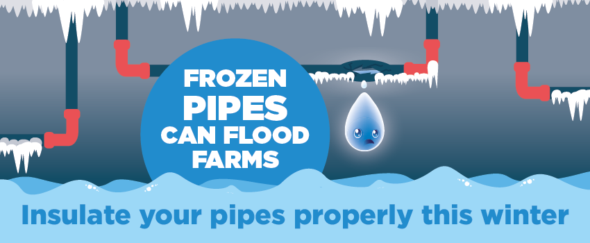 Frozen Pipes can flood farms - Insulate your pipes properly this winter
