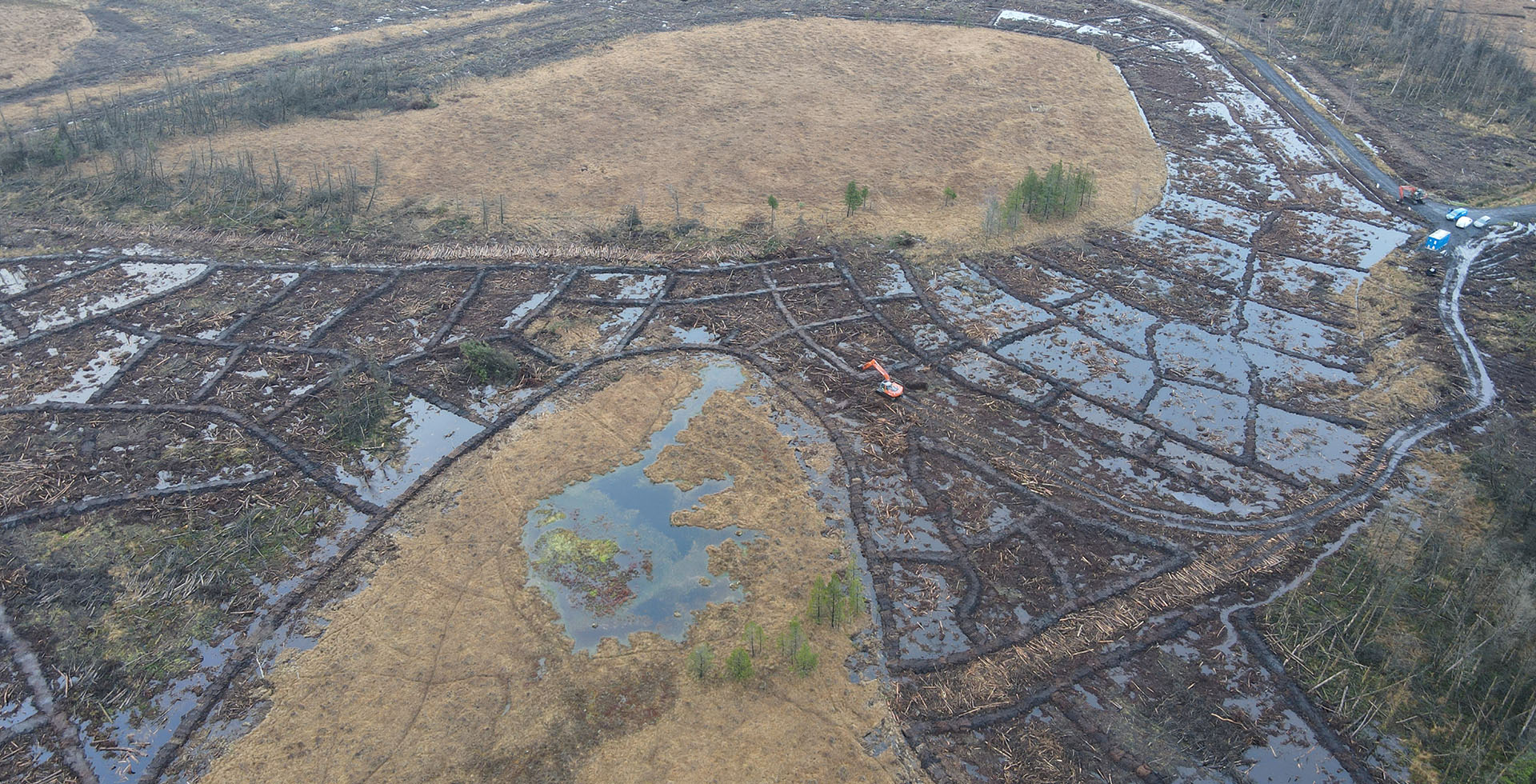 peatland-restoration