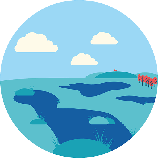 peatlands